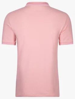 Andrio Polo<Cavallaro Napoli Discount