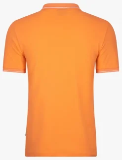 Andrio Polo<Cavallaro Napoli Discount
