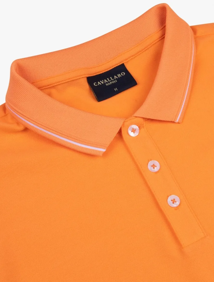 Andrio Polo<Cavallaro Napoli Discount