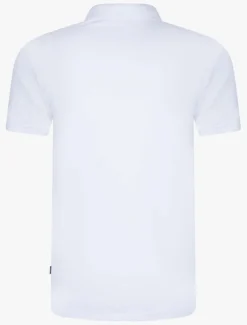 Cosimo Polo<Cavallaro Napoli Sale