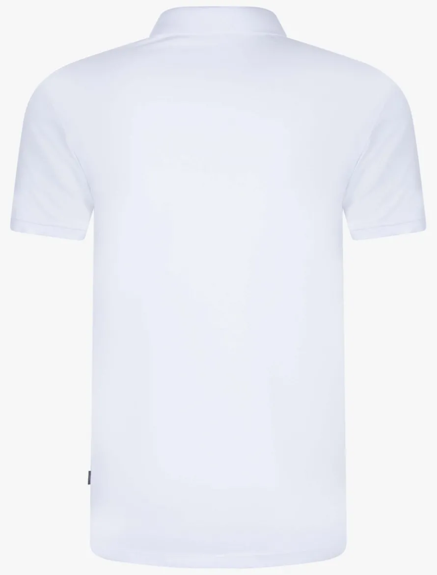 Cosimo Polo<Cavallaro Napoli Sale