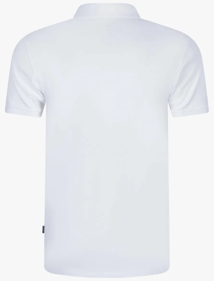 Cosimo Polo<Cavallaro Napoli New
