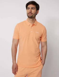 Cosimo Polo<Cavallaro Napoli New