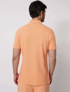 Cosimo Polo<Cavallaro Napoli New