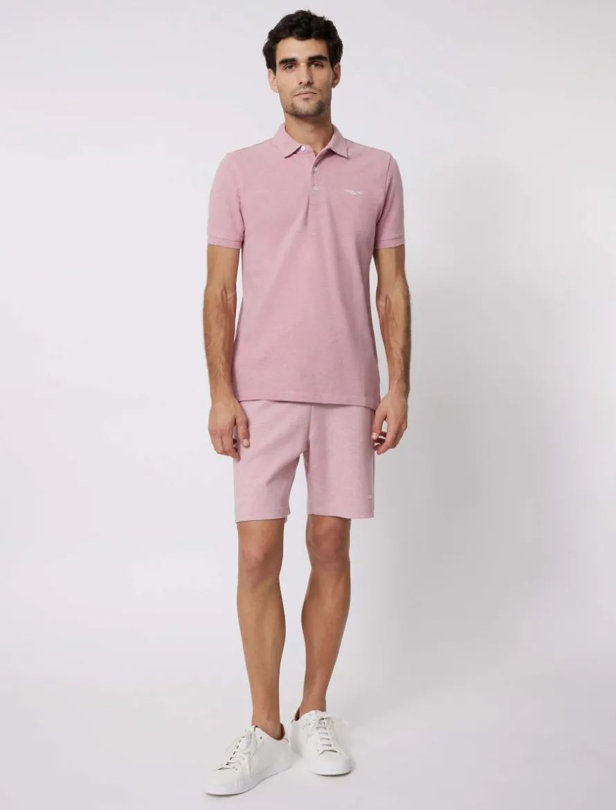 Damiano Polo<Cavallaro Napoli New