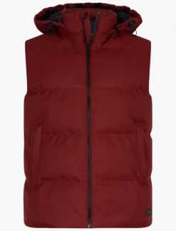 Tanino Bodywarmer<Cavallaro Napoli New